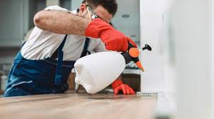 Emergency Pest Control Services in Oakfield, WI